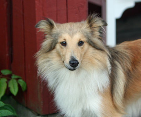 Kiara